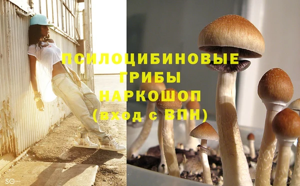 тгк Богородицк