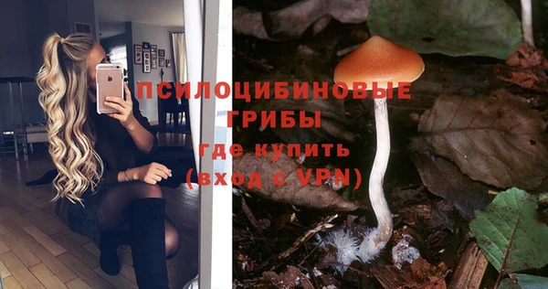 амф Богданович